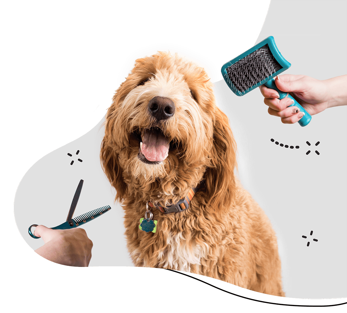 https://dogounes.com/wp-content/uploads/2019/08/hero_home_3.png
